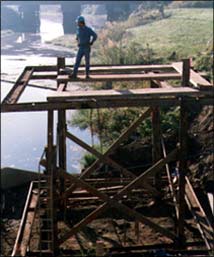 Shore & Field Welding